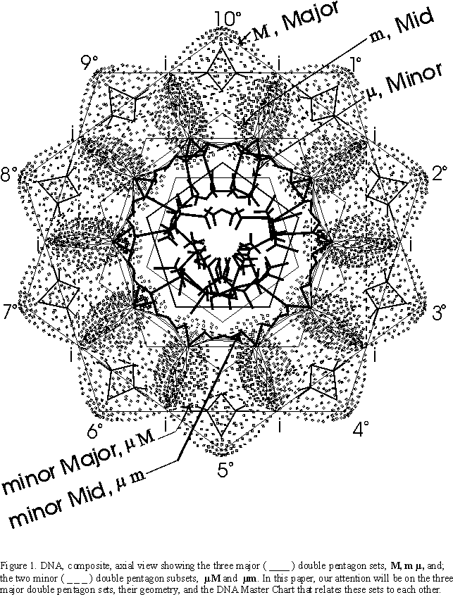 Geometry of DNA, pentagons and pattern combined