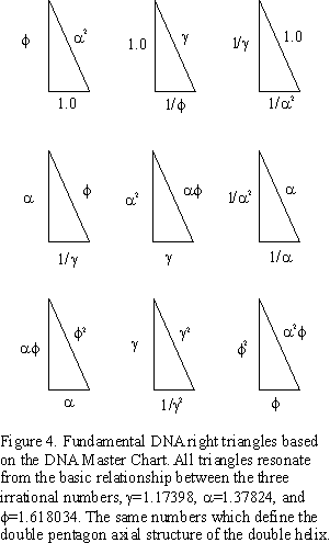 Geometry of DNA, the right triangles derived from the DNA Master Chart