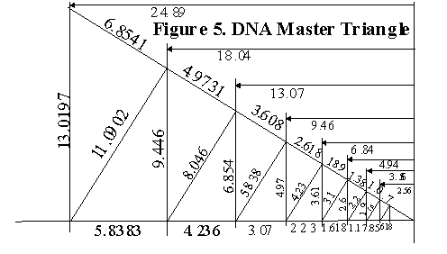 Geometry of DNA, the DNA Master Triangle